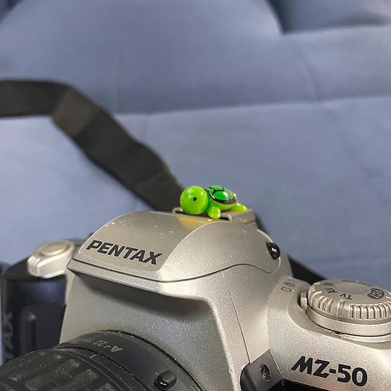 MENGSOOD Camera Hot Shoe Cover, Cute Hot Shoe Cap, Hot Shoe Protector Compatible with Sony Fujifilm Fuji Canon Nikon Pentax Leical Panasonic (2pcs Tortoise) - Image 2